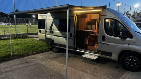 4p Fiat bus from 2018