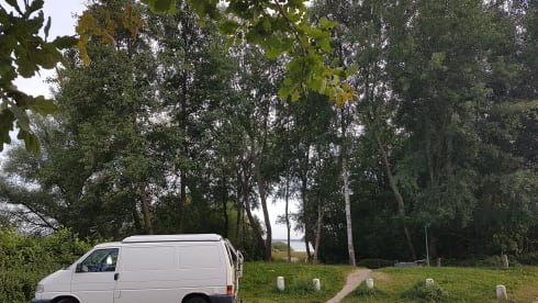 Amerai il nostro bel camper Volkswagen insieme al tuo cane o gatto!