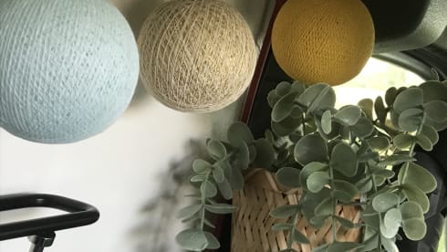 SUBA – On an adventure with SUBA!