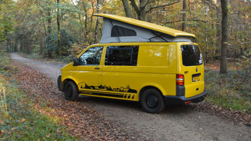 Bert – 4p Volkswagen campervan 