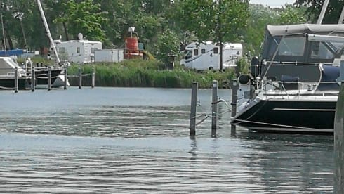 Willie – The Normal One