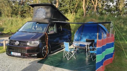 Bentley  – Gorgeous Blackberry VW T6 Campervan with Starlight Ceiling 