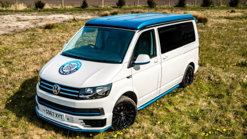 Bob – White & Blue Ormskirk