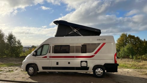 Bronko – Rimor Horus 138