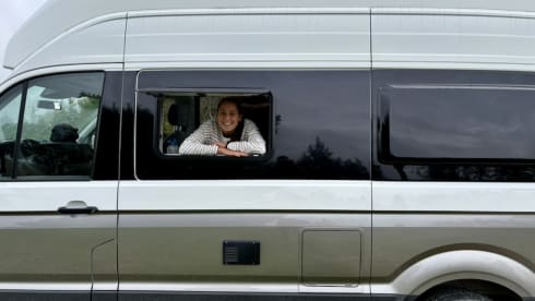 Grote beer – 4p Volkswagen campervan from 2022