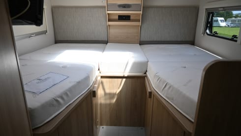 PEUGEOT ELDDIS EVOLUTION 194 2020 