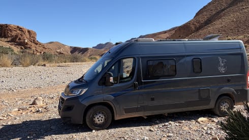 Vibes  – 2p Fiat bus uit 2020