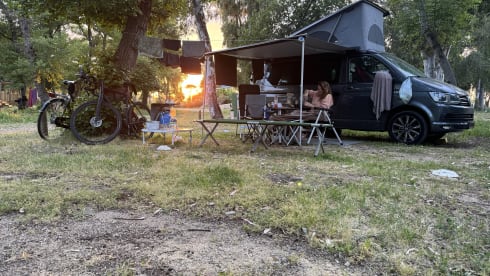 Boelie – 4p Volkswagen bus from 2018