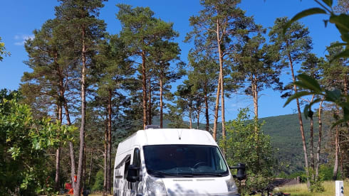 Boxy – Spacious off-grid bus camper 'Boxy' 2/3 pers. (2014)