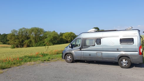 On the road this summer