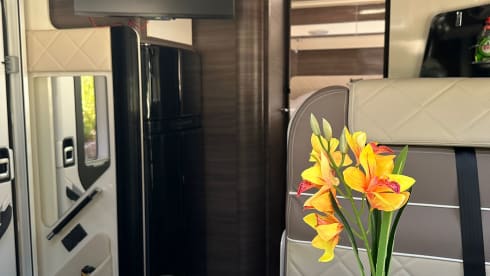 Brand new Semi-Integrated McLouis Carat 479G from 2024 