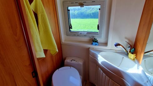 2p Fiat bus uit 2009