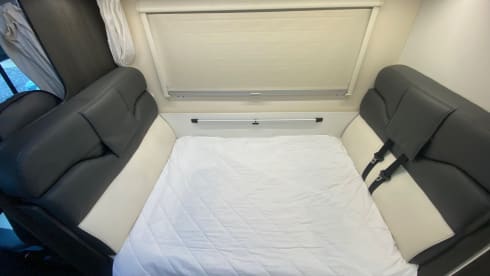 6 Birth Rollerteam 675 