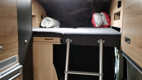 Campervan Globe-Traveller Pathfinder X