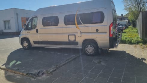 Fiat Ducato benimar. Benivan 145 – 2p Fiat bus uit 2010