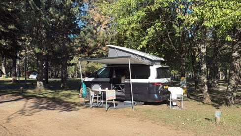 VWT7 – VW T7 California Ocean with lifting roof - eHybrid - Automatic - New