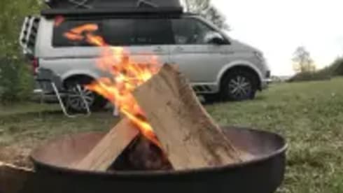 Bulli – Original VW California Ocean T6 auto. Euro6