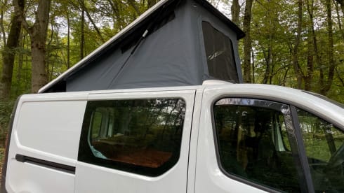 Ollie – 2p Renault bus from 2015
