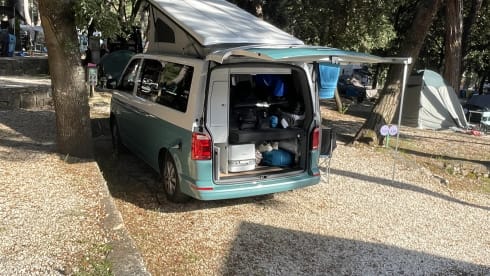 4p Volkswagen campervan uit 2019
