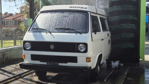 DANDY β VW T3 MITO SENZA TEMPO