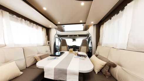 Benimar cocoon 488 2022