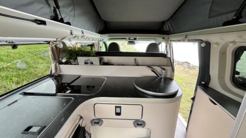 Nuggy  – 4p Ford bus from 2018