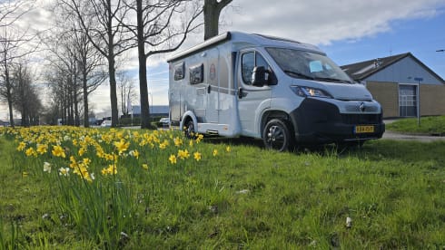 v60  – 3p Sunlight semi-integrated from 2026