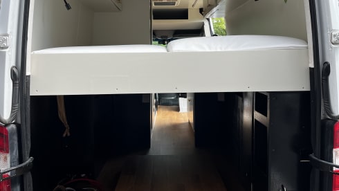 2-person Mercedes-Benz bus from 2016