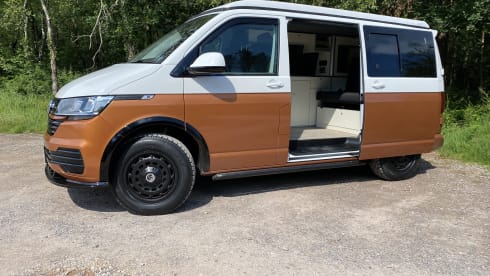 VW T6.1 Family Campervan near Somerset, Devon & Dorset Borders