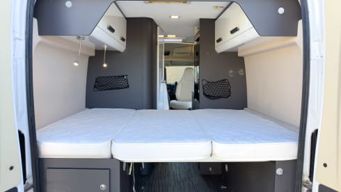 Witte Vlegel – Mclouis Menfys Matic 