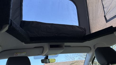 DAVE – Camping-car Volkswagen 4 places à partir de 2019