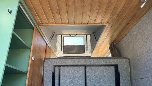KIWI GOLD (6) – Renault Trafic Eco bus camper completely self-sufficient