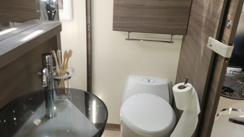 4p McLouis integrated uit 2019