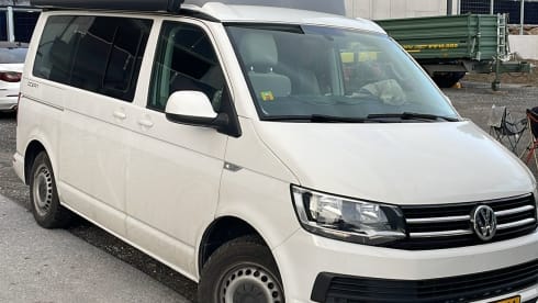 Cali  – Volkswagen California T6 (Factory Camper, original)