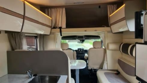 Elina – Ahorn Canada AE