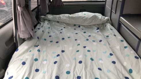 Bens Carli – VW Westfalia California