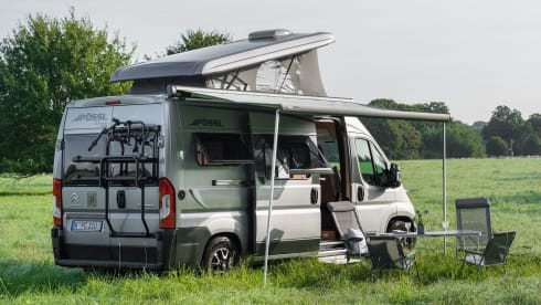Pumba – Pössl 2 Win Plus 2021 - pop-up roof - 4 sleeping places