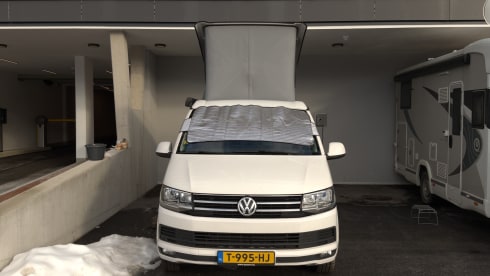 Cali  – Volkswagen California T6 (Factory Camper, original)