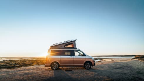 VW T6 Atlantic - Malaga