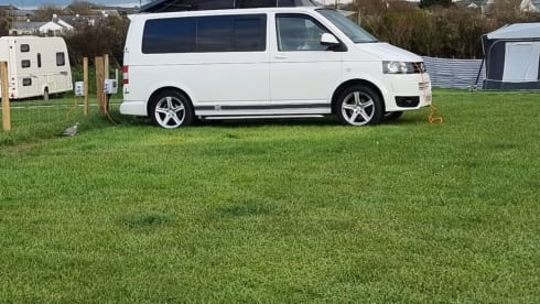 Transporter-Saurus-Rex – Transporter-Saurus-Rex... a 4 berth Volkswagen campervan from 2010