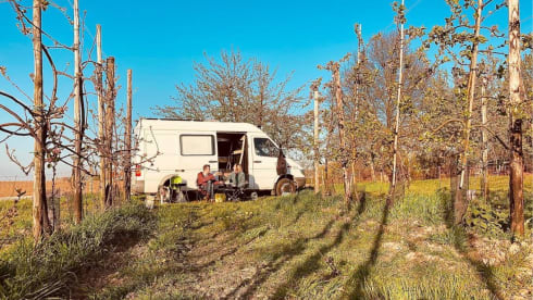 Helga – 2p Mercedes-Benz bus from 2005