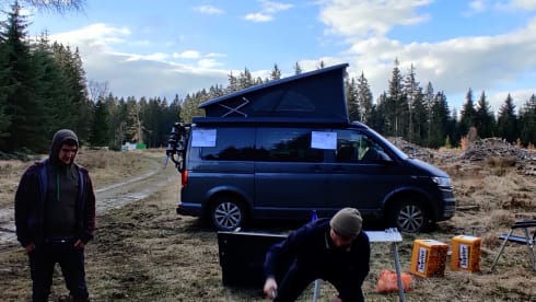 NOUVEAU VW CALIFORNIA AVEC PORTE-VÉLOS