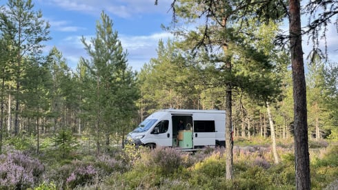 Big Debs – Lakeland Adventure Waggon
