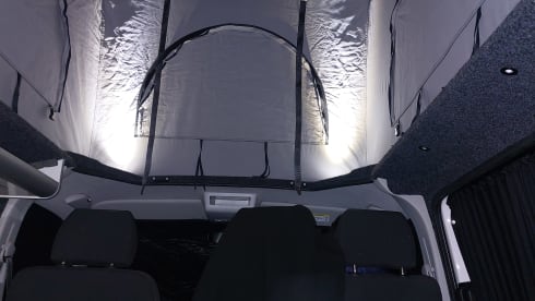 Alegria – 4p Volkswagen campervan from 2018