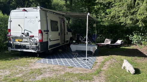 2p Peugeot bus uit 2010