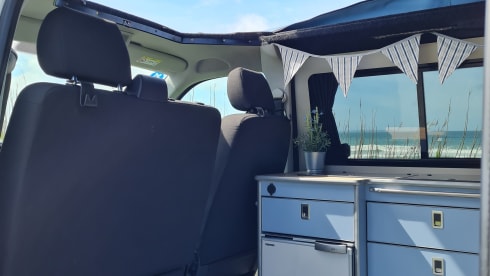 Cosmo – Volkswagen Camper. 2015 T6