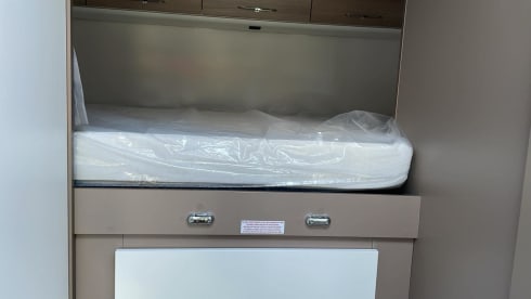 blucamp –  blucamp ocean 650