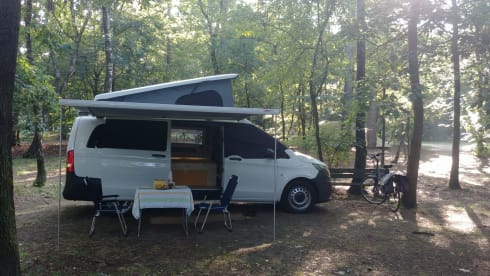 Zonnegeel – 3 person Mercedes-Benz bus from 2017