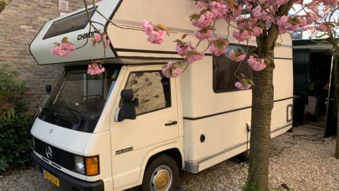 Lief Gebakje – Sweet Cake: XL bed, cozy and complete