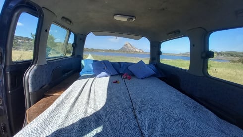 VANTASTIK RENTAL CAMPERVAN – VANTASTIK RENTAL CAMPERVAN